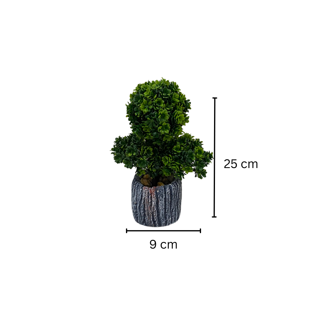 Árbol Miniatura: Toque Natural